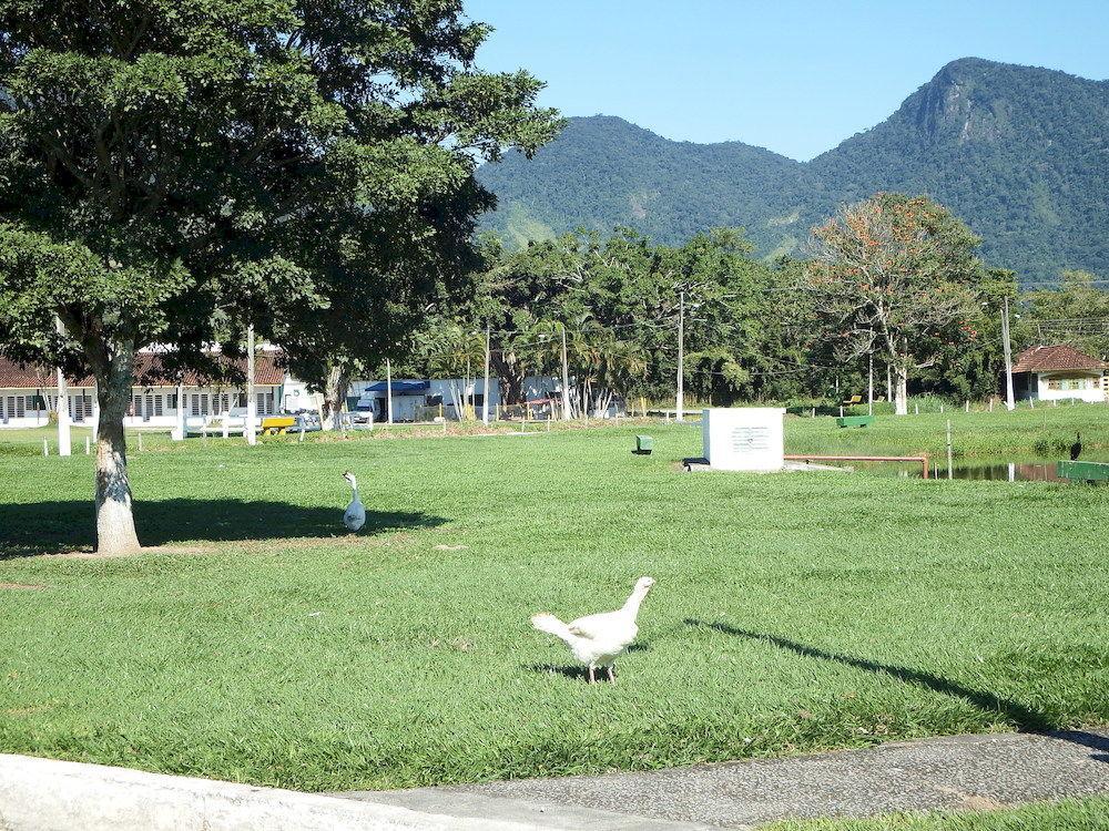 Hotel Fazenda 3 Poderes 卡拉瓜塔图巴 外观 照片