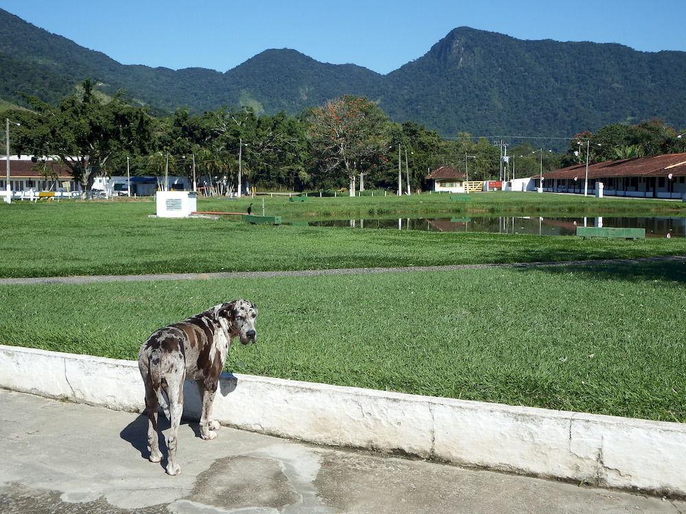 Hotel Fazenda 3 Poderes 卡拉瓜塔图巴 外观 照片